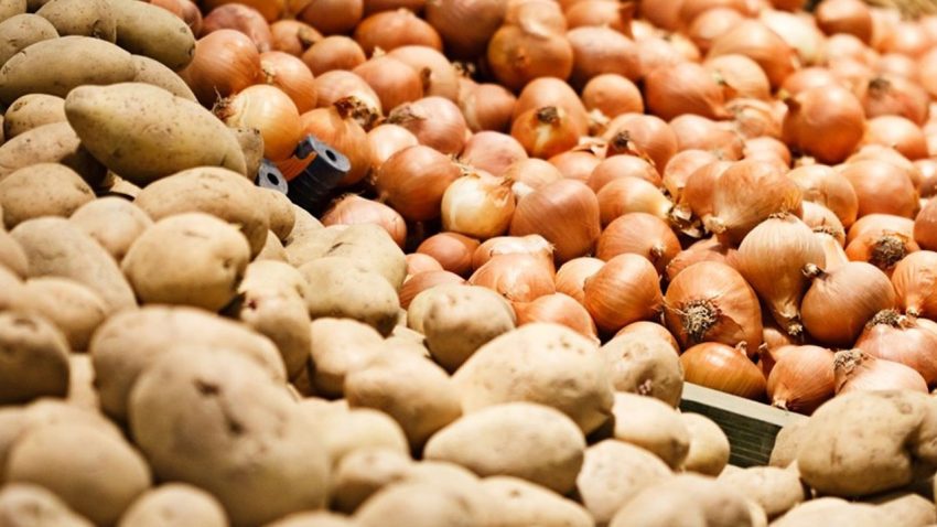 Patates Soğan Yardımı Nasıl Alınır?